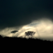 Don Porter - "Crazy Horse's Dream” – http://www.donporter.com/