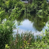 Patricia Schnepf - "By the Pond - Waiting for Otters” – http://www.patriciaschnepfphotography.com/