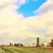 Mary McKenna Ridge - "Rural Landscape with Clouds” – http://marymckennaridgephotography.squarespace.com/