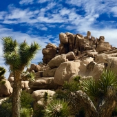 9th Place – Overall - Garret Demarest - "Joshua Tree Hike” – www.innervigorations.com
