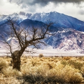 9th Place – Rick Lingo - "Winter in the Desert” – www.ricklingo.com