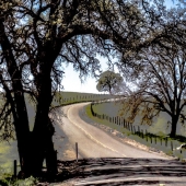 Hon. Mention - Eldred Boze - "Landscape California 11” – http://eldredboze.com