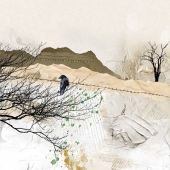 Hon. Mention - Carol Abel - "Winter Landscape” – www.instagram.com/cabelcat