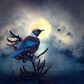 1st-Place-OA-10-pd.-Carolyn-Dakin-Full-Moon-b