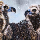 Qiao Yuyang - "Lost in Misty Air” - 498233604@qq.com