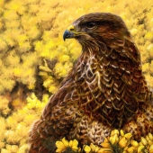 Qiao Yuyang - "Whistle Across Grassland” - 498233604@qq.com