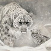 Zhao Mengyan - "Snow Leopard” - 61807455@qq.com