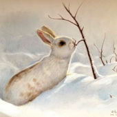 Zhao Mengyan - "Rabbit in the Snow” - 61807455@qq.com