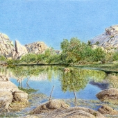 Robert Sena - "Barker Dam Reservoir - Joshua Tree National Park” – robs32812@yahoo.com