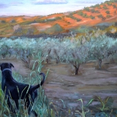 Antonella Prosperi - "L'orizzonte di Najla” - http://www.antonellaprosperi.it/