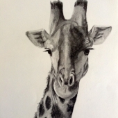 Ianthe Hudson - "Majestic Look” – Ianthehudson@gmail.com