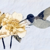 Veronica Russo - "Hummingbird Feeder” – vrusso125@gmail.com