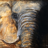 Laura Bruce - "The Enforcer” – http://www.lauraebruce.com/