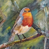 René Pauwels - "Little Robin” – art.renep1@gmail.com