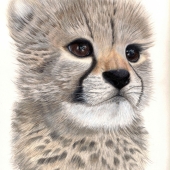 Krista Oremus - "Cheetah Cub” - https://kristaoremus.com/