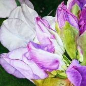 Lisa Freeman-Wood - "Spring Buds” - http://www.instagram.com/lisafreemanwood