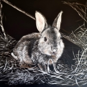 Jan Lowe - "What the Night Reveals” - http://www.janlowefineart.com/