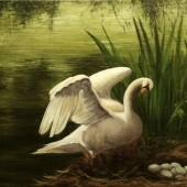 Jane Moore - "The Swan's Secret” - http://www.janeindigoart.com/