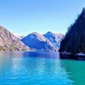 Mark De Colibus – “In the Still of the Day” - http://lahainaartssociety.com/