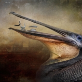 Claudia Daniels – “Proud Catch” - https://www.claudiadanielsphotography.com/