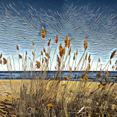 Gareth Jones – “Winter Grasses at the Beach” - www.gpjones1.format.com