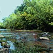 Mary F Wicks Photo Artistry – “One Moment of Peace” - www.creekdigitalphotography.com