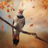 Nicole Wilde – “Autumn Flicker” - www.photomagicalart.com