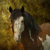 Maureen Kirk-Detberner – “Spanish Dream” - mkirk@fastwinn.com