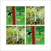 Sylvia G Bandyke – “Deer through the Window” - www.facebook.com/bandykephotocollage/