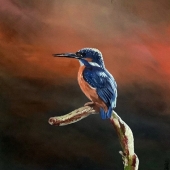 Julie Hollis - "Kingfisher” – krustyhollis@hotmail.com