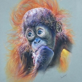 Geraldine Simmons - "The Cost of Convenience” – http://www.geraldineswildlifeart.com/