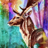 Snigdha Mall Singh – “Into the Wilderness” - snigdhamall05@gmail.com