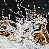 Floris – “Territory of the Bengal Tiger” - floris.betrouw@hotmail.com
