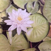 Denise Burns – “Peace and Tranquility” - dtatman12@yahoo.com