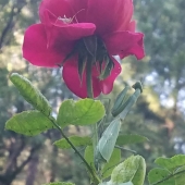 Lisa Freeman-Wood – “Snack Time” - http://www.instagram.com/lisafreemanwood