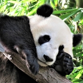 Garret Demarest – “Hanging Out” - http://www.innervigorations.com/