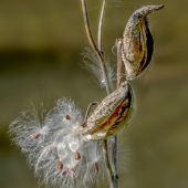 John H Diephouse – “End of Season” - jdiephouse@gmail.com