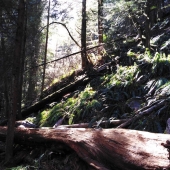 Max St-Jacques – “Vancouver #1” - http://maxstjacques.com