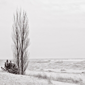 Winnie Chrzanowski - "Oval Beach” – http://www.thewaterclosetwerks.com/