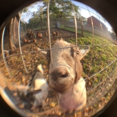 Aruna Mettler – “Teddy” - https://www.arunadollymettler.com/