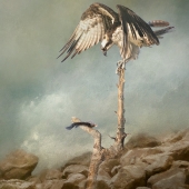 Nicole Wilde – “All Mine” - www.photomagicalart.com