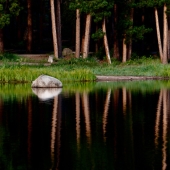 Lena Merkulovich – “First Rays” - www.facebook.com/LenaMerkuPhotos/