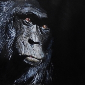 1st Place – Julie Hollis - "Gorilla Reflecting” – krustyhollis@hotmail.com