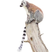 2nd Place – Lucy Webster – “A Higher Vantage Point” - www.lucywebster-art.co.uk