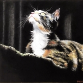 4th Place – Viola Wanling Chen – “Spring Breeze” - violachen2014@gmail.com