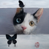 6th Place – Difei Fan – “Cat & Butterfly” - tqh_2000@163.com