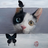 6th Place – Difei Fan – “Cat & Butterfly” - tqh_2000@163.com