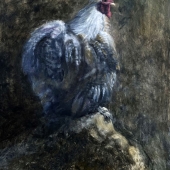 Hon. Mention - Patricia Oji - "Ruling the Roost” – www.patriciaoji.com