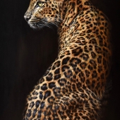 Hon. Mention - Judit Neder - "Silence” – juditnederart@gmail.com