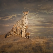 6th Place – Bernice Fargus – “Pride” - bernicefargus@gmail.com